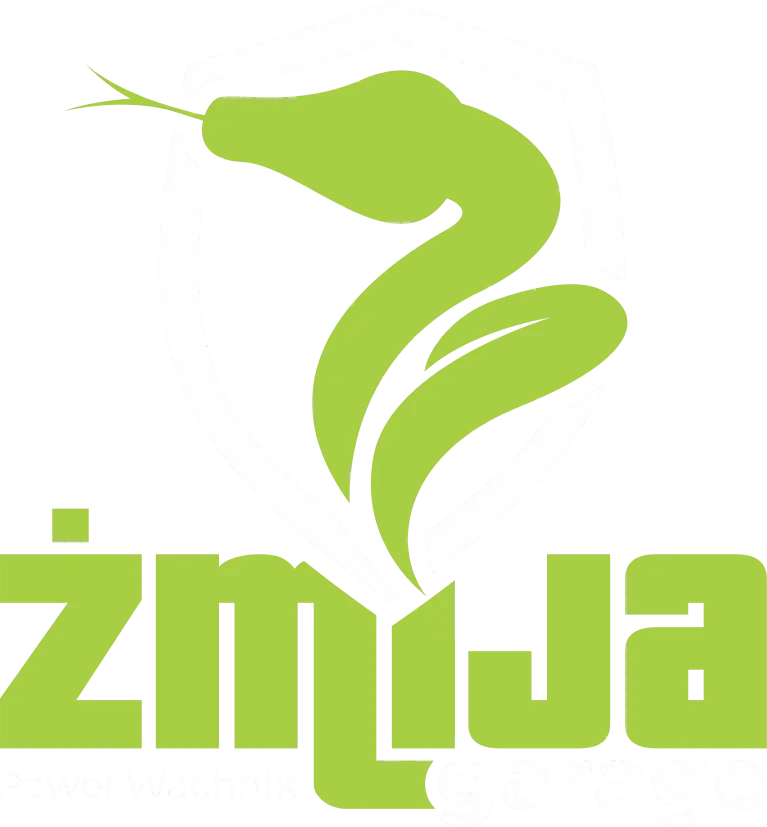 Żmija garage – detailing / pranie tapicerki / pranie dywanów