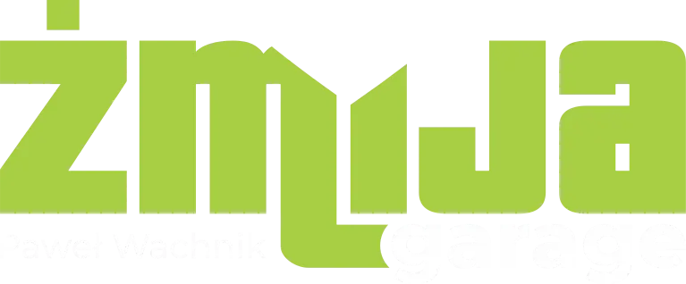 Żmija garage – detailing / pranie tapicerki / pranie dywanów